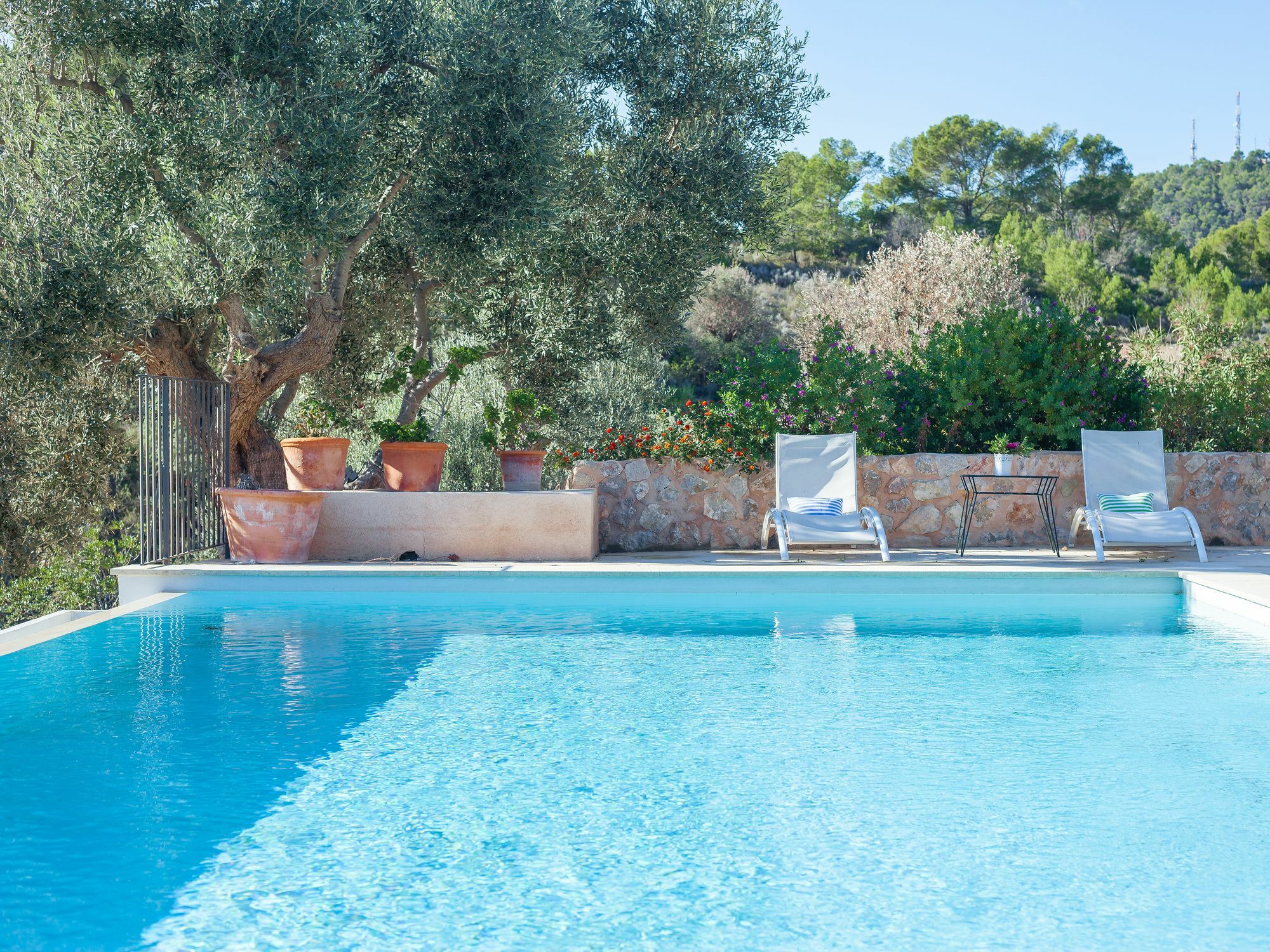 Villa Finca Luisa Para 6 Con Piscina Y Vista Mar Puerto de Andratx Εξωτερικό φωτογραφία